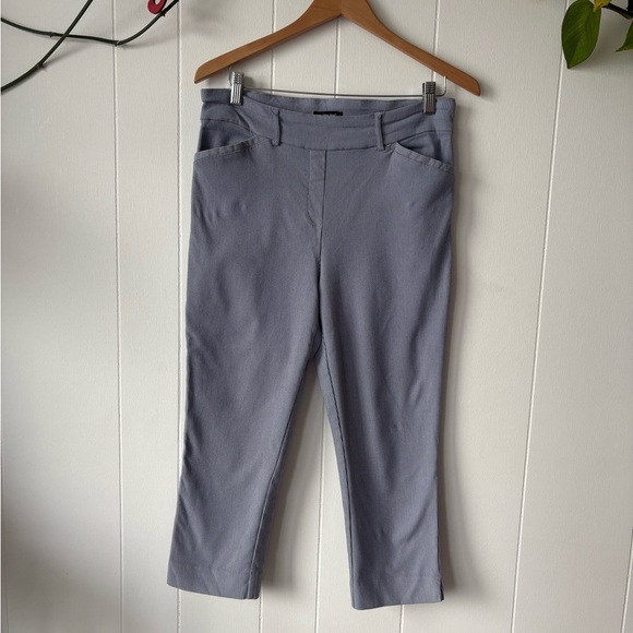 Hilary Radley Blue Striped Crop Pants | Size 12 - Picture 2 of 7
